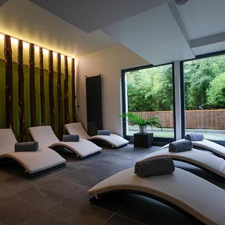 Hotel Europe - & Haguenau